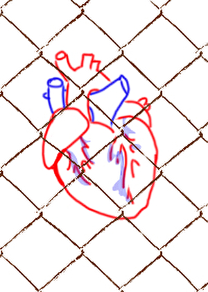 不要再巩固深情人设了