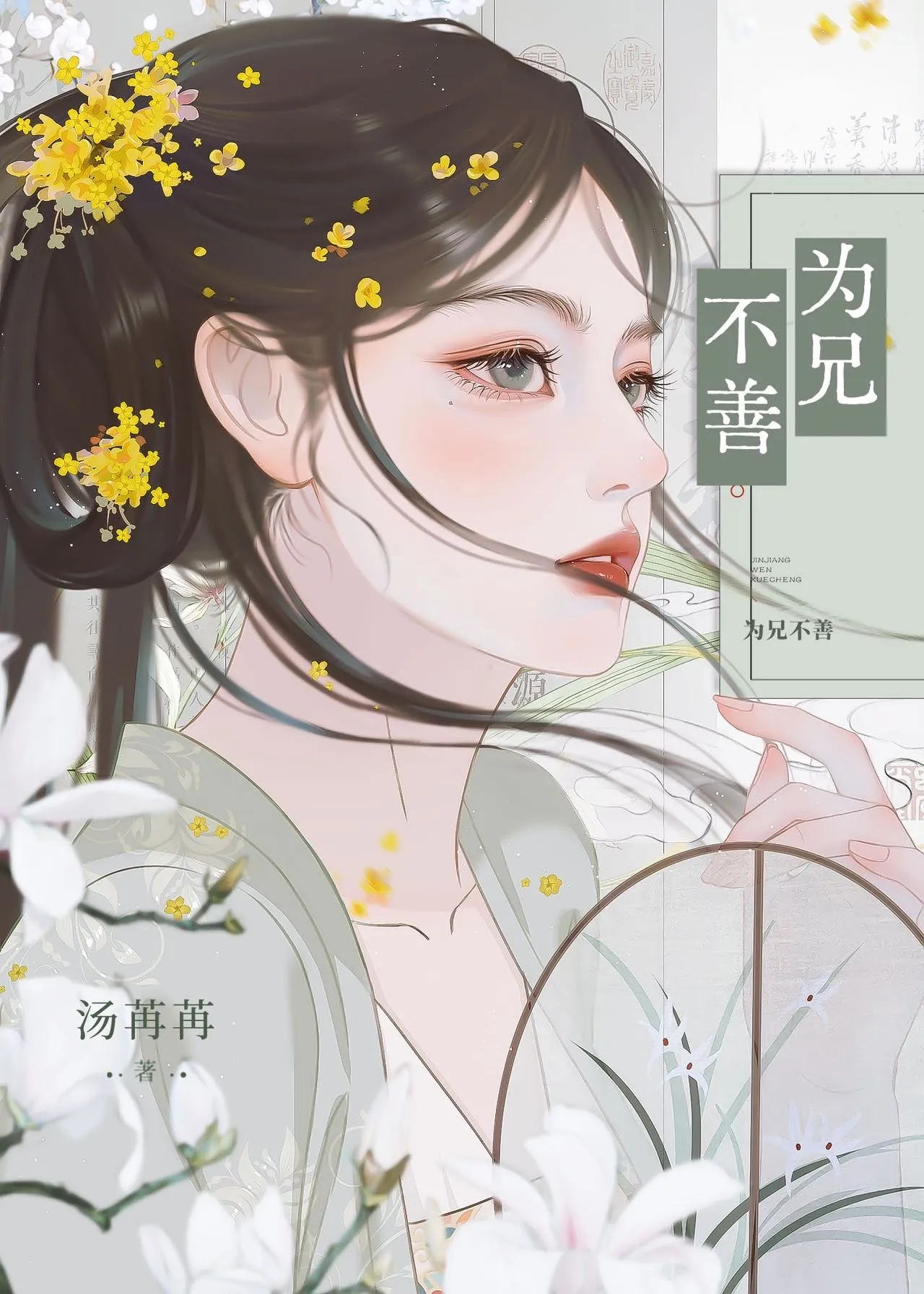 为兄不善笔趣阁免费阅读