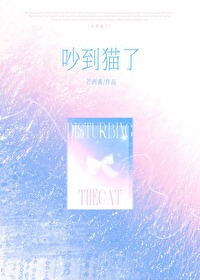 吵到猫了小说免费阅读无弹窗