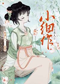 笨蛋美人是小细作的小说