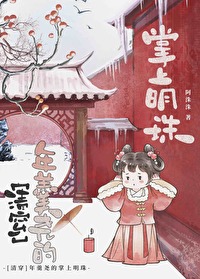 穿越成年羹尧的小说