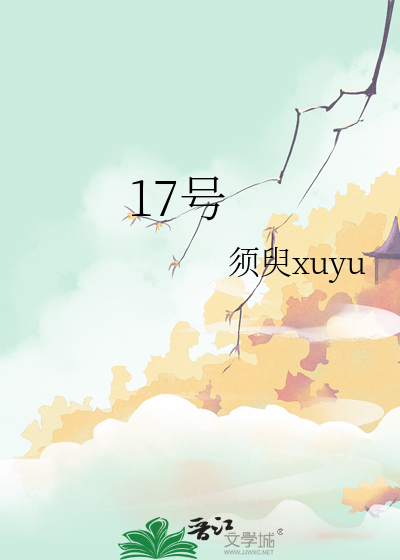 17号线西岑站