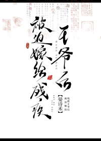 穿越王妃嫁给残疾王爷免费阅读