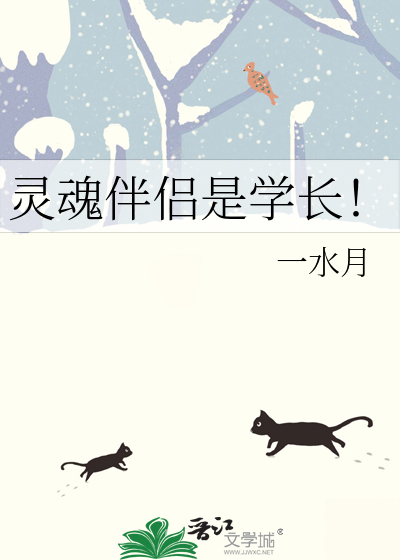 灵魂伴侣是好是坏