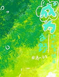 文野剧本组都有谁