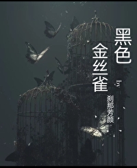 黑色金丝雀海棠
