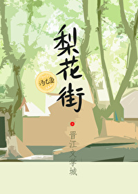 梨花街属于哪个街道