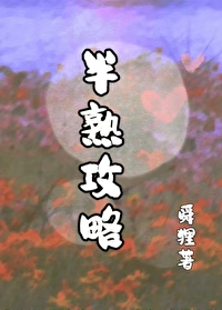 半熟英雄fc中文版攻略