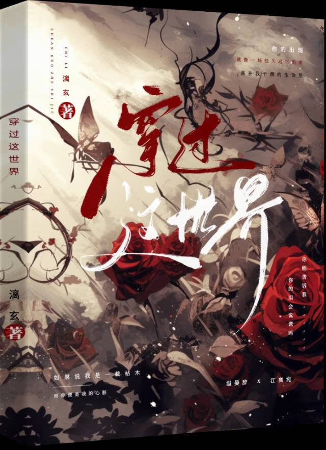 穿过的世界又回来了小说