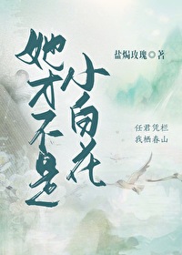 她才不是小白花小说