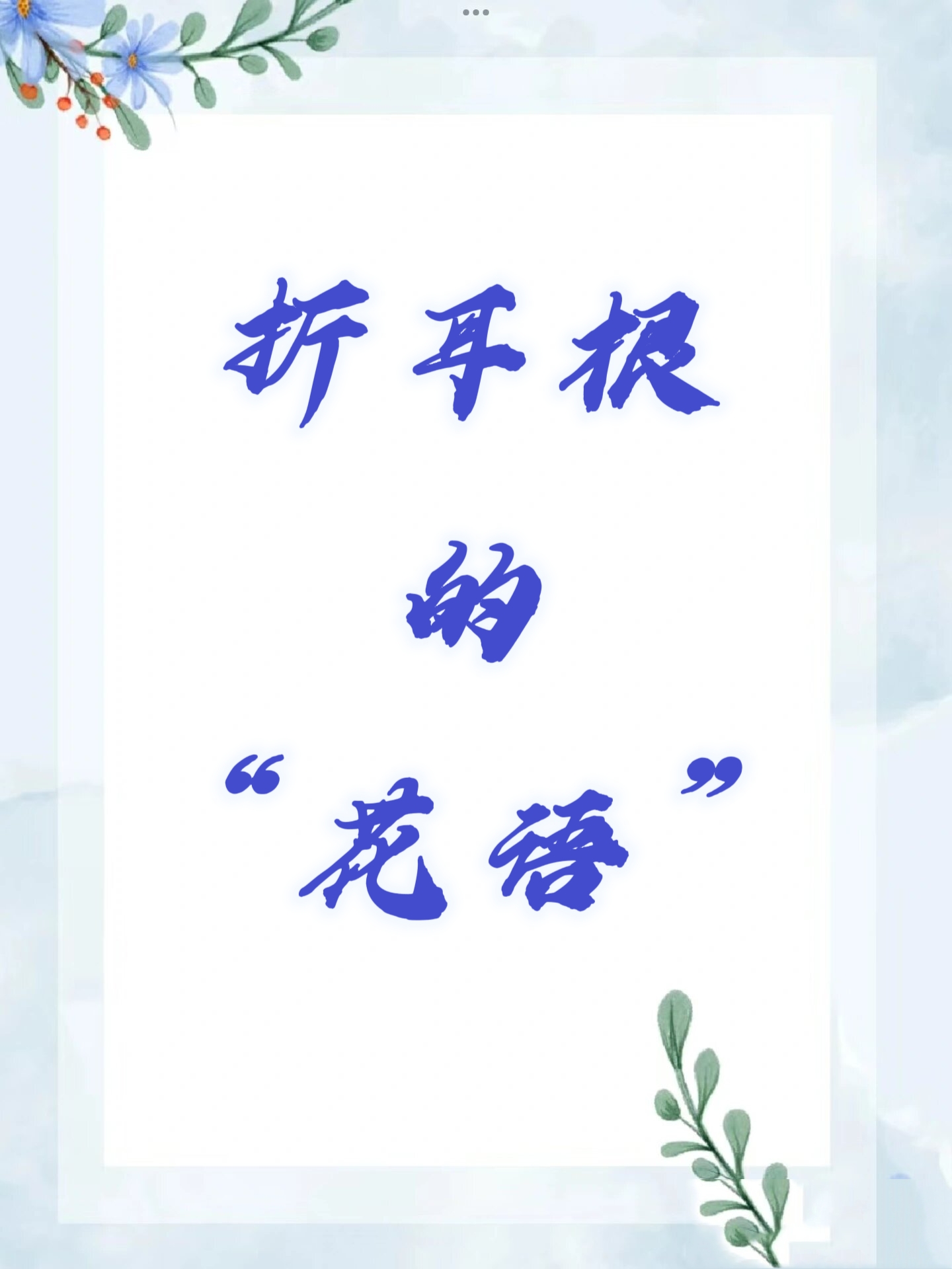 折耳根的花语到底是什么