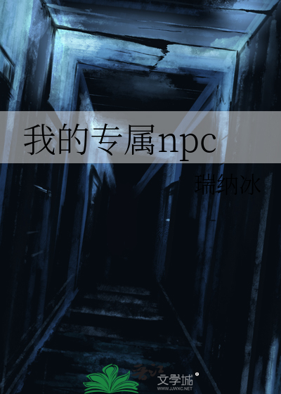 我的专属NPC