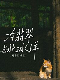 冰种翡翠的价值