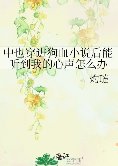 中也晋江