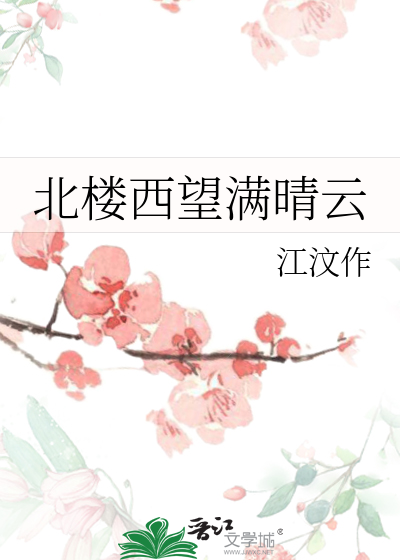 望北楼小说