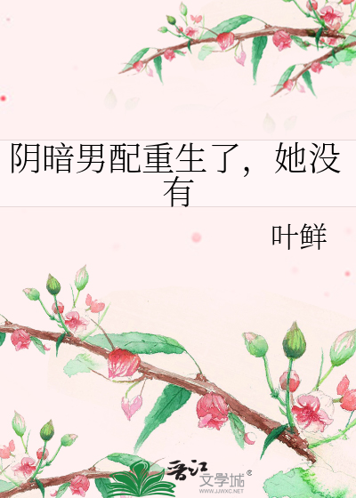 她没有怀孕小说