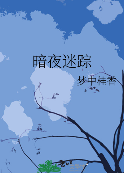暗夜迷踪真相