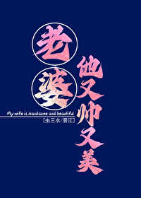 老婆太帅了怎么办动漫