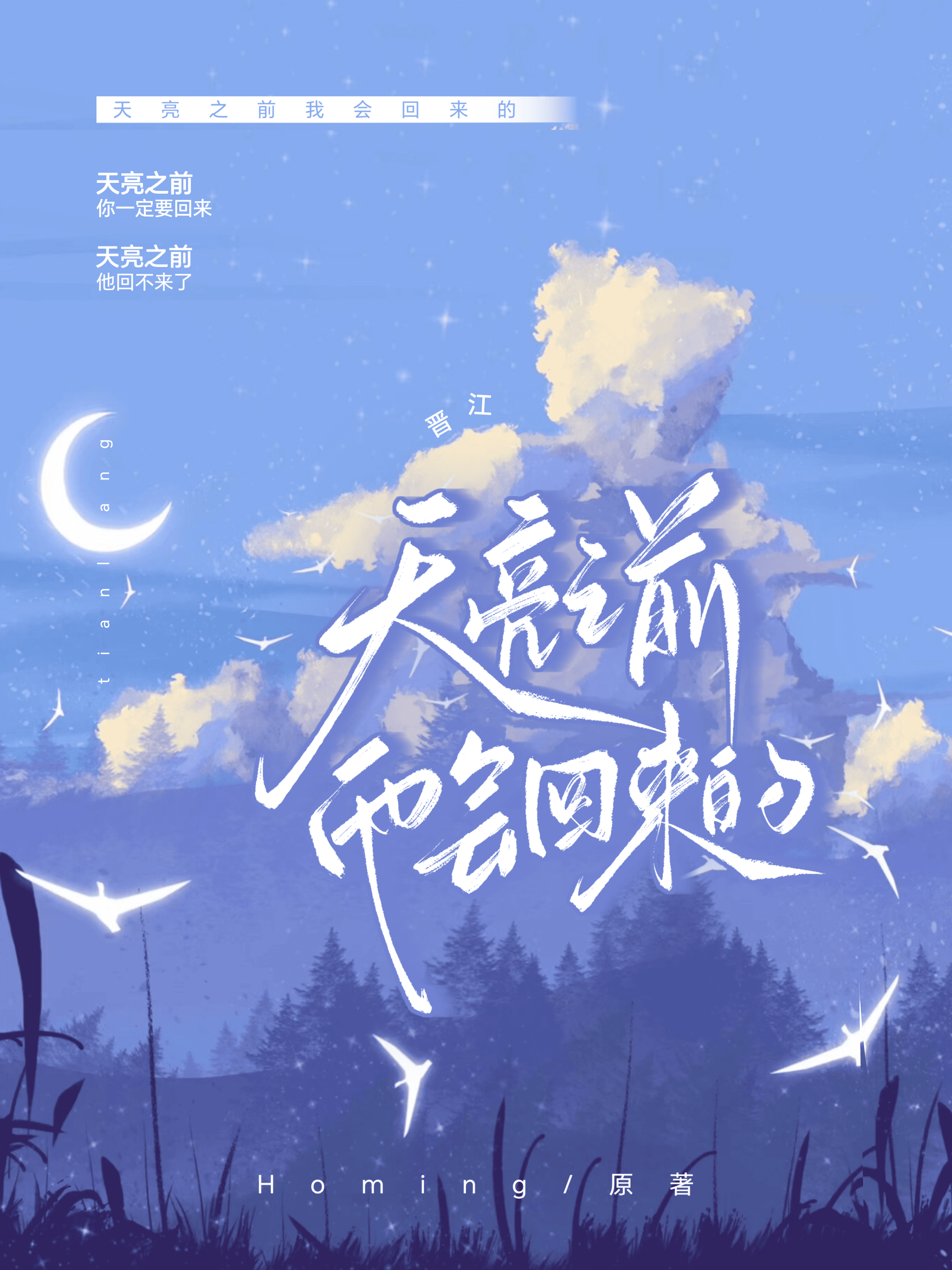 天亮前回家