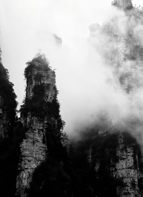 绿茶皇后是谁