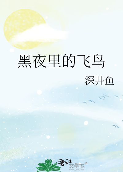 黑夜里的飞鸟是什么歌