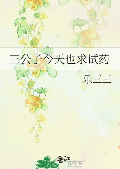 三公子的意思
