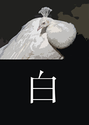 七零穿成极品后背