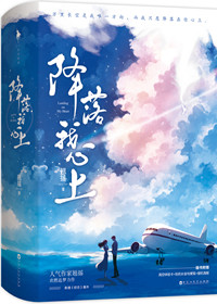 降落我心上小说