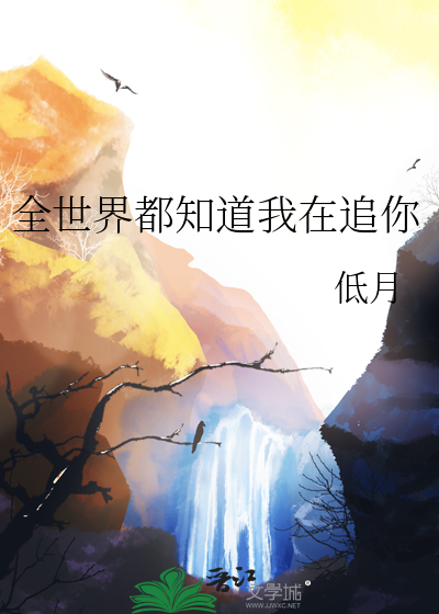 全世界都知道我在追你
