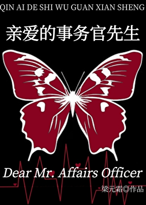 [综英美]亲爱的事务官先生