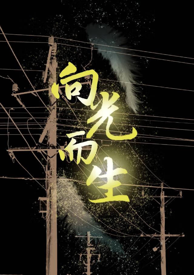 柯南：向光而生